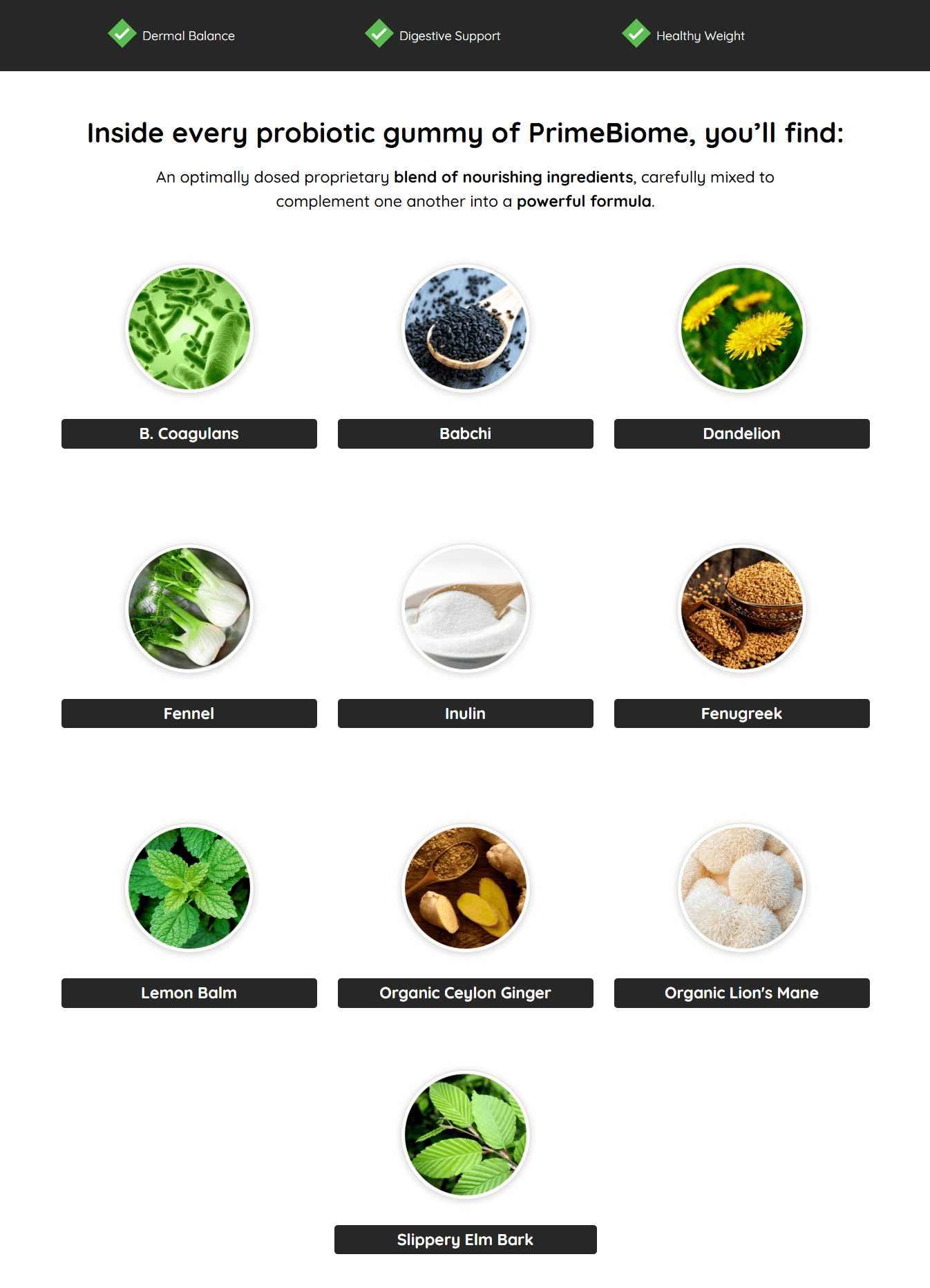 PrimeBiome_Benefits_-In_this_image,_you_have_all_the_natural_ingredients_used_in_PrimeBime[1]